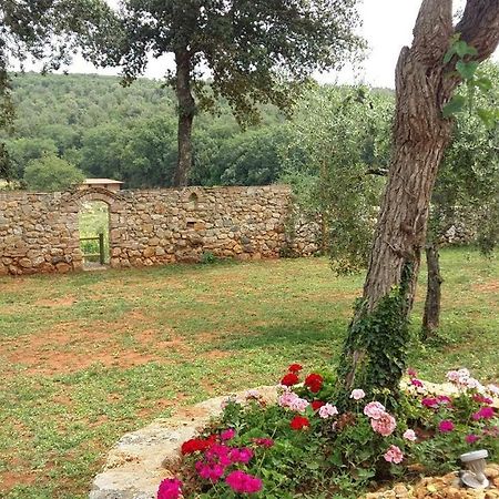 La Tenuta Di Castelvecchio سان جيمينيانو المظهر الخارجي الصورة