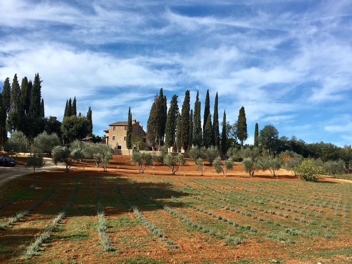 La Tenuta Di Castelvecchio سان جيمينيانو المظهر الخارجي الصورة