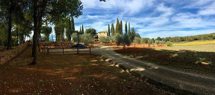 La Tenuta Di Castelvecchio سان جيمينيانو المظهر الخارجي الصورة